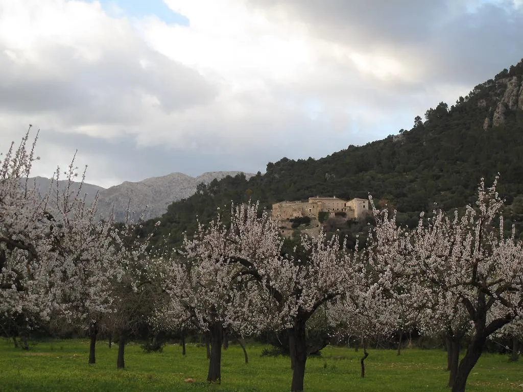 Agroturismo Filicumis By Mhr Lloseta Farm stay