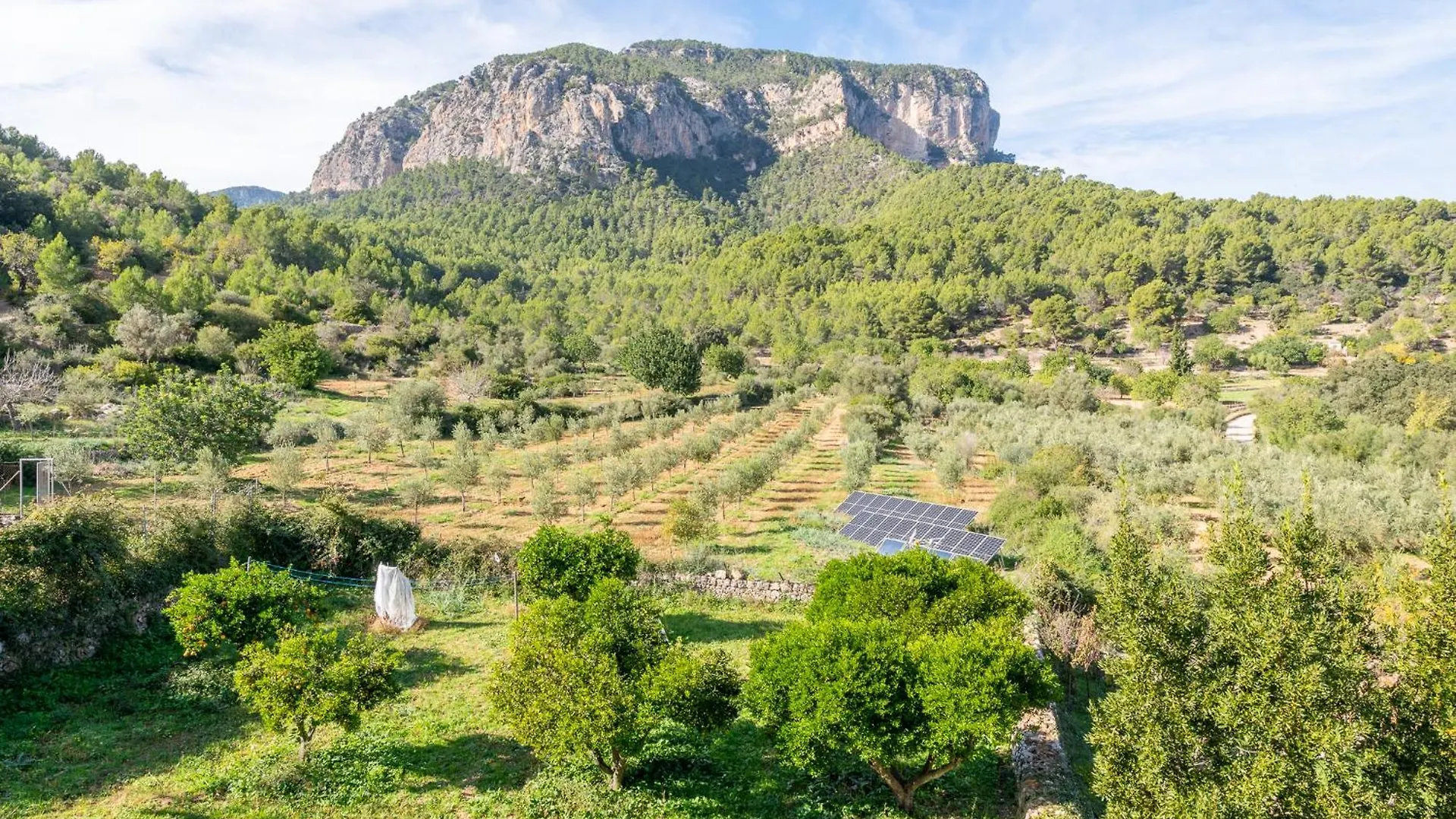 Agroturismo Filicumis By Mhr Lloseta 0*,  Spain